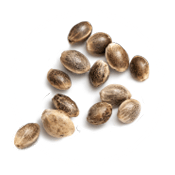https://cannadopedc.com/wp-content/uploads/2019/01/inner_product_02.png