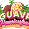 Guava Passion Fruit | Indica 2:1 THC:CBN Infused Gummies