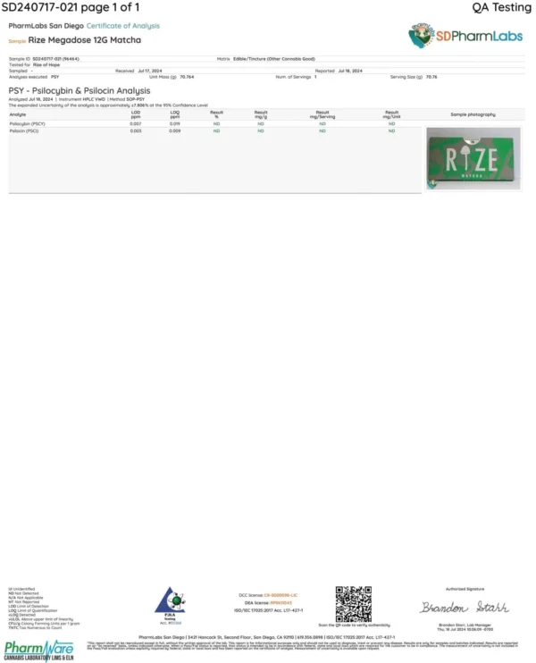 Rize | Matcha Mushroom Chocolate Bar | Megasdose 12g Bar