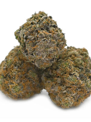 Black D.O.G. – Thunder Buddies