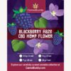 Blackberry-Haze-CBD-Hemp-Flower-Label-1.jpg 3.5GMs Blackberry Haze CBD Hemp Flower