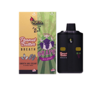 Burn Lifestyle’s Disposable Vape