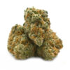 CB_GROUP-1.jpg 3.5gms Cactus Breath: A Potent Hybrid Strain for Cannabis Enthusiasts
