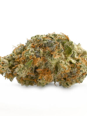 3.5gms Cactus Breath: A Potent Hybrid Strain for Cannabis Enthusiasts