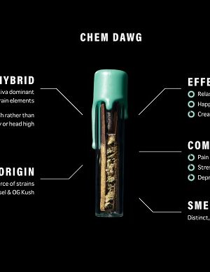 CHEM-DAWG.jpg Chem Dawg