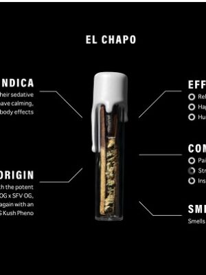 El Chapo Strain