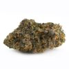GEL.RUNTZ_SINGLE.jpg 7gms Gelato Runtz: A Sweet Blend of Flavor and Potency