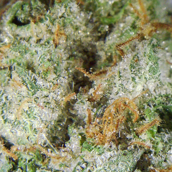 7gms Ghost Bubba – The Perfect Balance of Relaxation & Euphoria