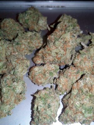 Great-White-Shark.jpg 1oz (28g) Great White Shark