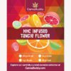 7gms HHC Infused Tangy Flower: A Premium Experience in Hemp Innovation