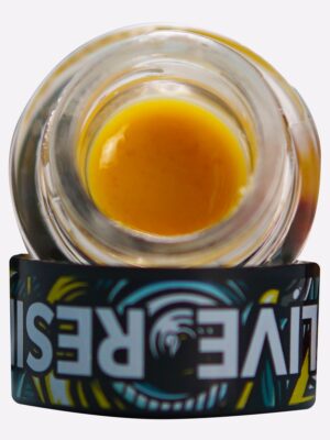 Nectarine Haze – STIIIZY 1.0g Premium THC Extract
