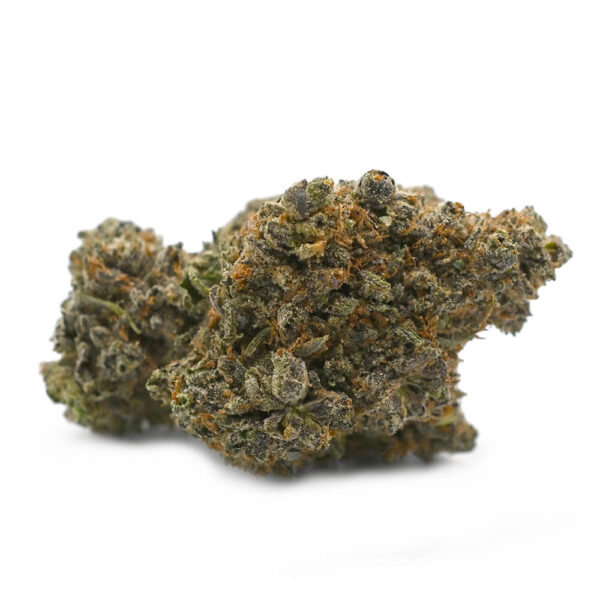 7gms Purple Nuken – A Potent Indica-Dominant Hybrid