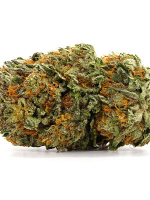 Purple-Midnight-Strain.jpg 1 oz (28g) Purple Midnight Strain