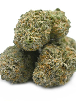 7gms Purple Nuken – A Potent Indica-Dominant Hybrid