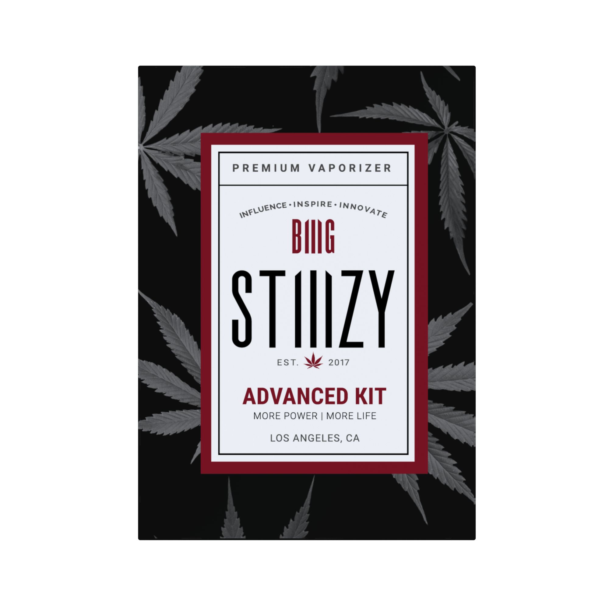 STIIIZY Battery – Black | 1EA Advanced Kit
