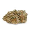 SUNDAEDRIVER_1.jpg 7 gms Sundae Driver Strain – A Smooth and Sweet Cannabis Experience