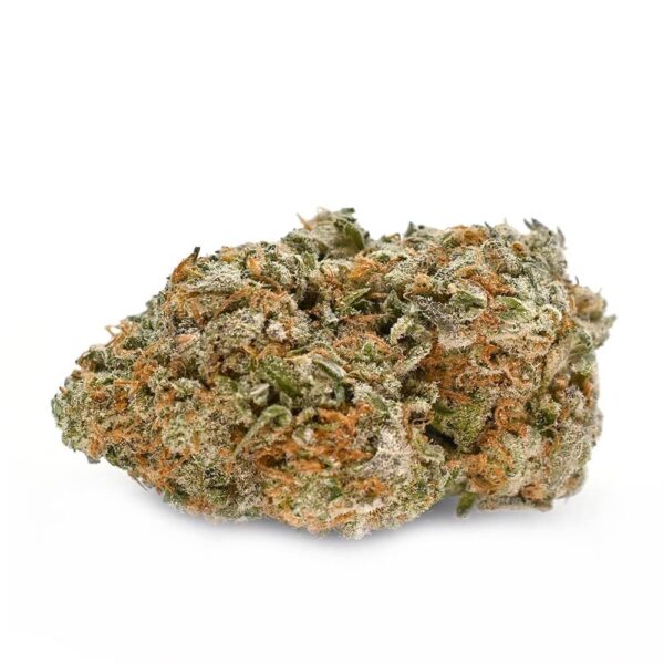 SUNDAEDRIVER_1.jpg 7 gms Sundae Driver Strain – A Smooth and Sweet Cannabis Experience