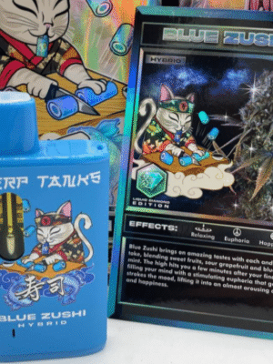 Terp Tanks 2g Disposable