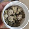 One OZ Candy Pavé (Exotic) Marijuana Strain – A Premium Hybrid Experience