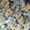 gelato-runz-4a-closeup.jpg 7gms Gelato Runtz: A Sweet Blend of Flavor and Potency