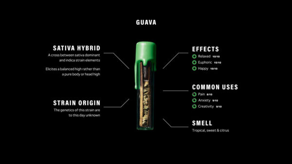 Packwoods Guava: A Tropical Masterpiece of Artisanal Cannabis Innovation