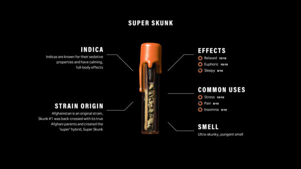 Packwoods Super Skunk: A Pinnacle of Premium Cannabis Artistry and Innovation