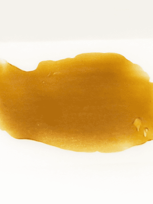 White Rhino Shatter